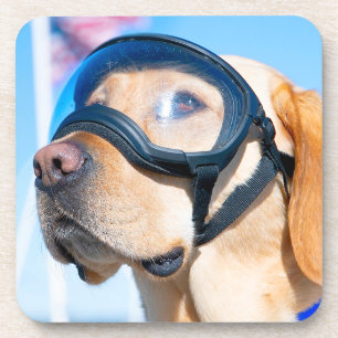 PORTA-COPO CÃO DE TRABALHO MILITAR DOS EUA