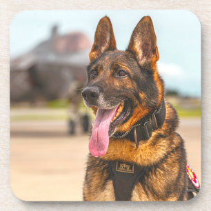 PORTA-COPO CÃO DE TRABALHO MILITAR DOS EUA