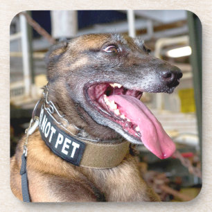 PORTA-COPO CÃO DE TRABALHO MILITAR DOS EUA