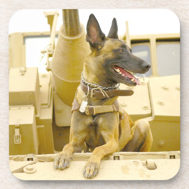 PORTA-COPO CÃO DE TRABALHO MILITAR DOS EUA (Frente)