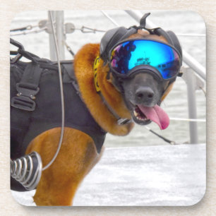 PORTA-COPO CÃO DE TRABALHO MILITAR DOS EUA