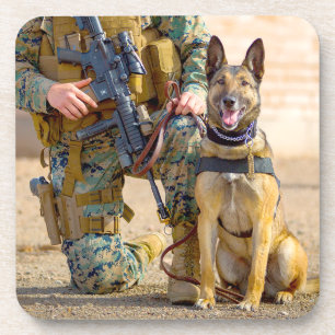 PORTA-COPO CÃO DE TRABALHO MILITAR DOS EUA