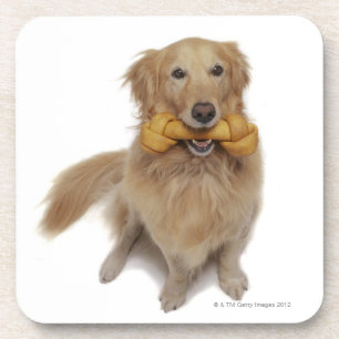 Porta-copo Cão do golden retriever que guardara o osso na