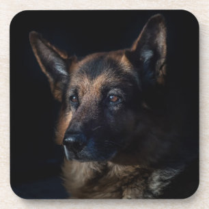 Porta-copo cão german shepherd