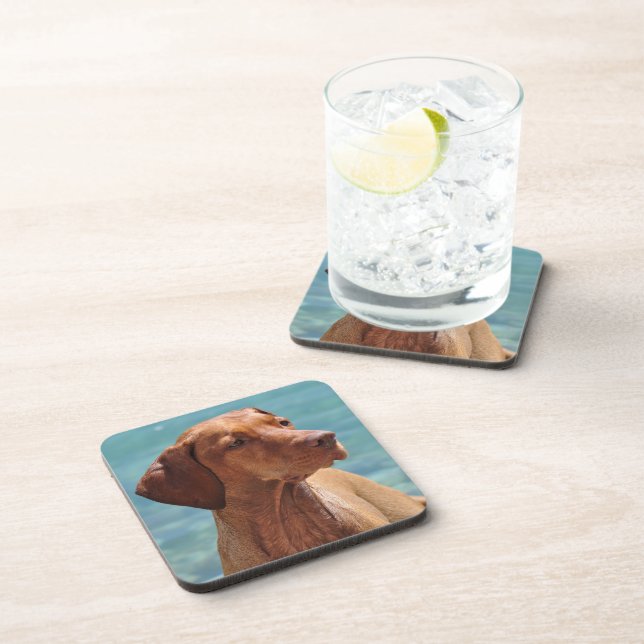 Porta-copo Cão Magyar Vizsla (Lado Direito)