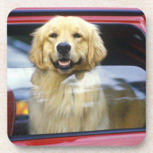 Porta-copo Cão na janela de carro vermelha