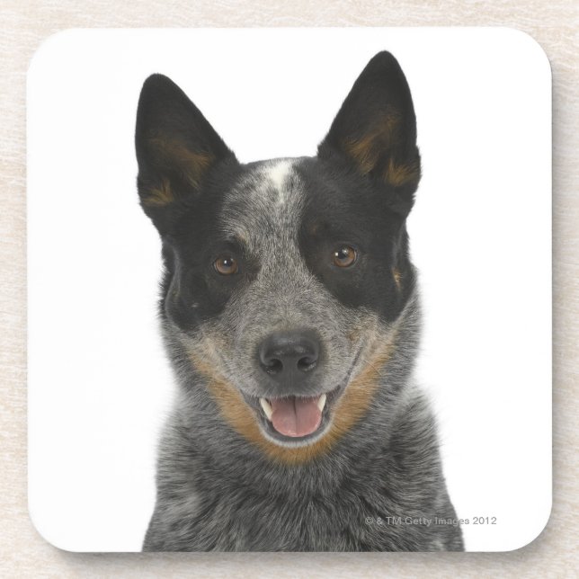 Porta-copo Cão no branco 5 (Frente)