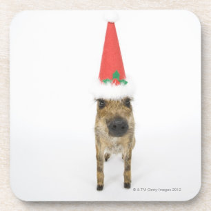 Porta-copo Cão no chapéu do Natal