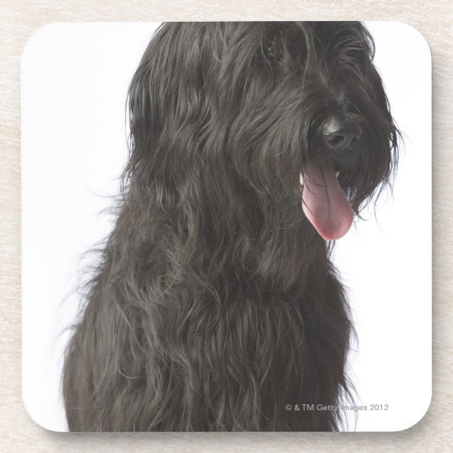 Porta-copo Cão preto, Briard (Frente)
