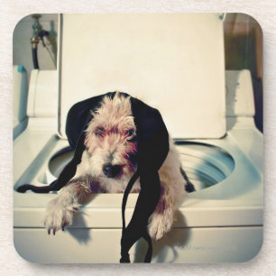 Porta-copo Cão que ajuda para fora com a lavagem