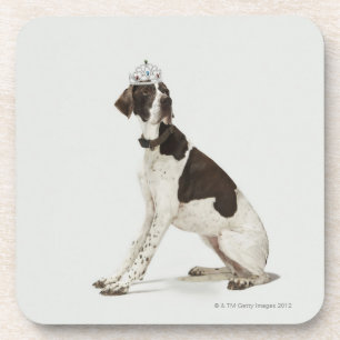 Porta-copo Cão que senta-se com uma tiara na cabeça