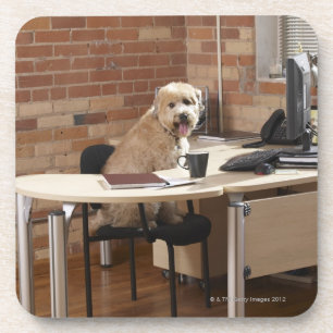 Porta-copo Cão que senta-se na mesa