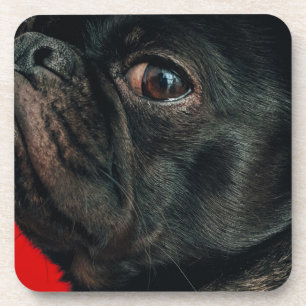 Porta-copo cão rojo