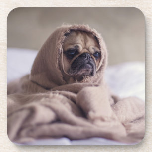 Porta-copo Cãozinho engraçado