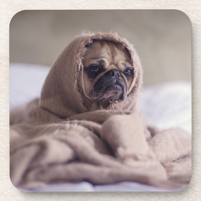 Porta-copo Cãozinho engraçado (Frente)