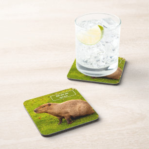 Porta-copo Capivara Personalizada