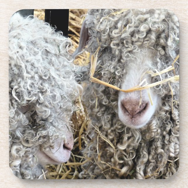 PORTA-COPO CAPRINOS CORTES (Frente)