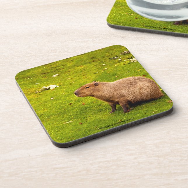 Porta-copo Capybara (Left Side)