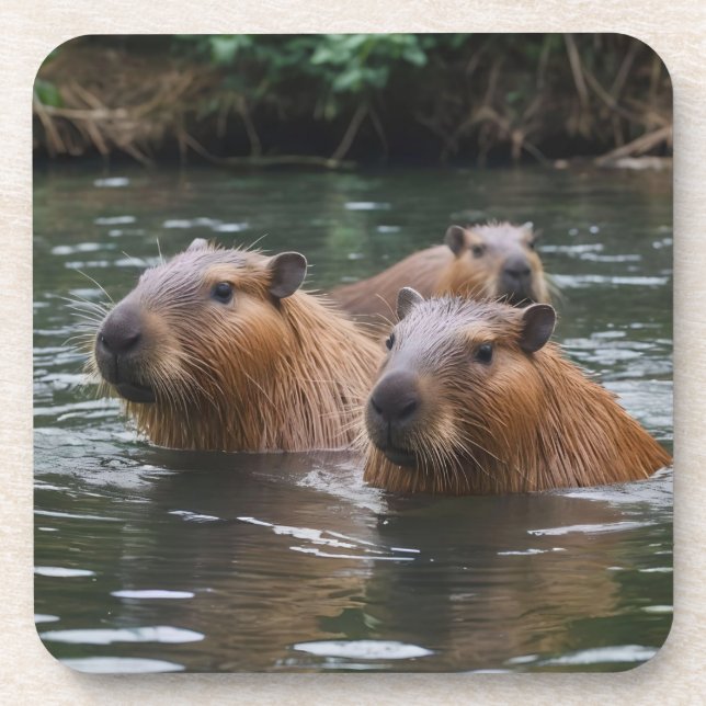 Porta-copo Capybaras' Swimming In The River,  (Frente)
