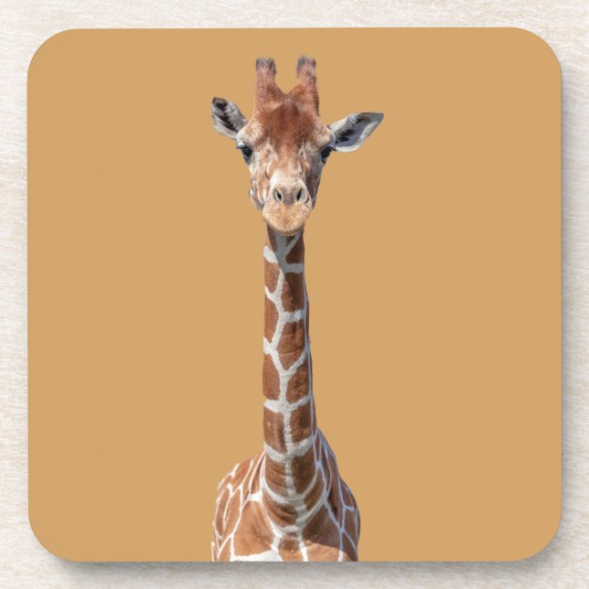 Porta-copo Cara de girafa bonita (Frente)