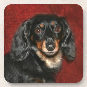 Porta-copo Cara do Dachshund