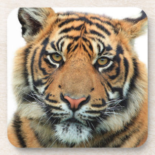 Porta-copo Cara do tigre