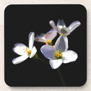 Porta-copo Cardamine Pratensis Flowers Litercna