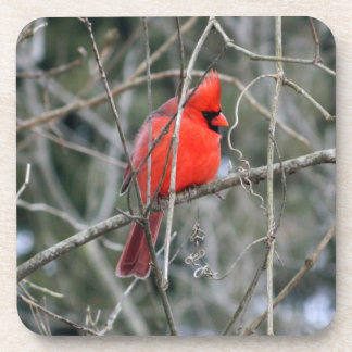 Porta-copo Cardinal Profile