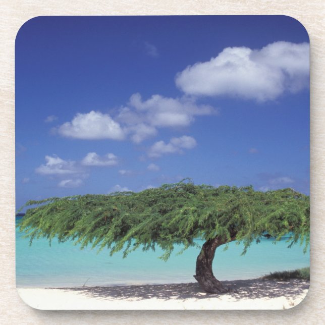 Porta-copo Caribe, Aruba. Praia da Águia (Frente)