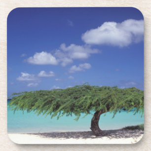 Porta-copo Caribe, Aruba. Praia Eagle