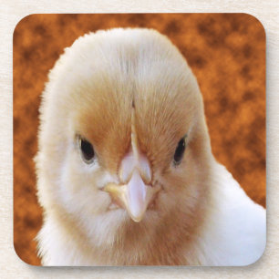 Porta-copo Carinha de frango, Portas copos