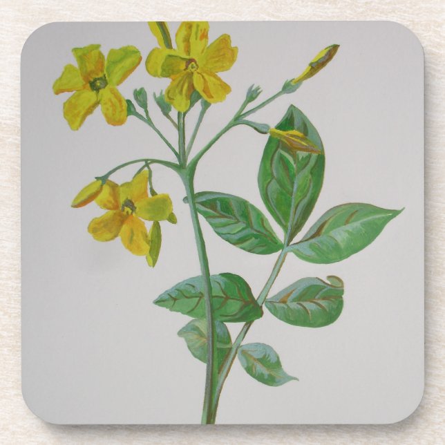 Porta-copo Carolina Jasmine Botanical Art (Frente)