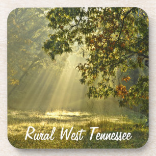 Porta-copo Carvalho com raios de sol da manhã