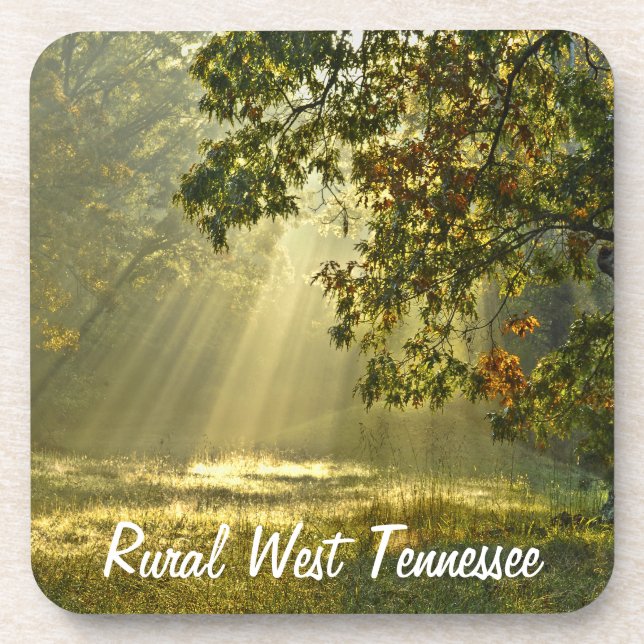 Porta-copo Carvalho com raios de sol da manhã (Frente)