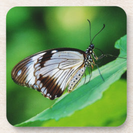 Porta-copo Castanho escuro e borboleta Cinza