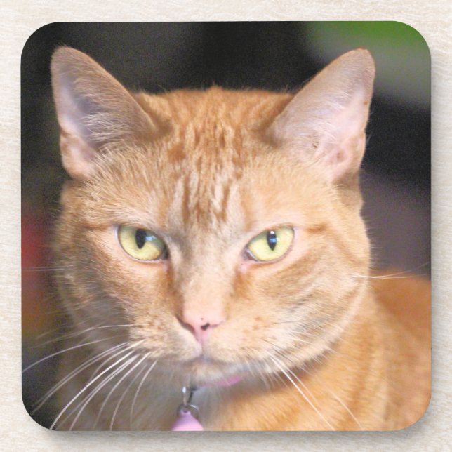 Porta-copo Cat  (Frente)