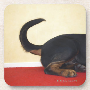 Porta-copo Cauda sacudindo de Rottweiler, seção traseiro