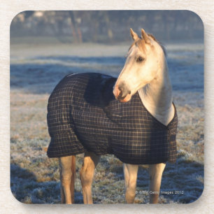 Porta-copo cavalo
