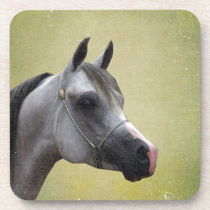 Porta-copo Cavalo Árabe Grunge