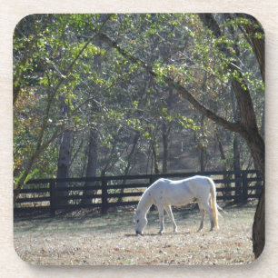 Porta-copo Cavalo Branco em árvores