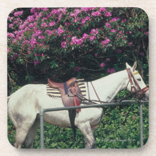 Porta-copo Cavalo branco em um jardim