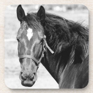 Porta-copo Cavalo Branco Negro