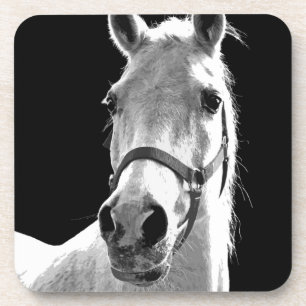 Porta-copo Cavalo Branco Negro Fechado na Noite