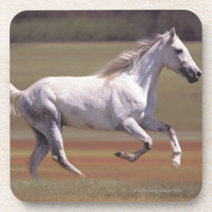 Porta-copo Cavalo branco que funciona no campo