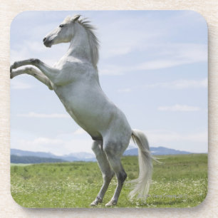 Porta-copo cavalo branco que salta no prado