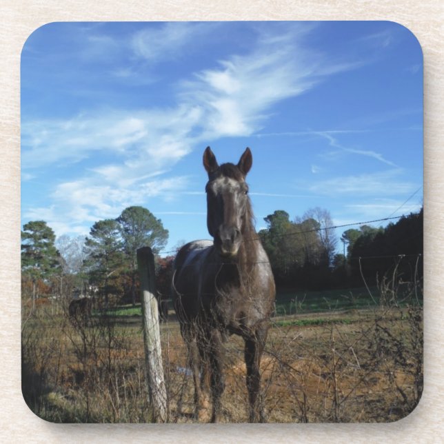 Porta-copo Cavalo castanho de chocolate em azul (Frente)
