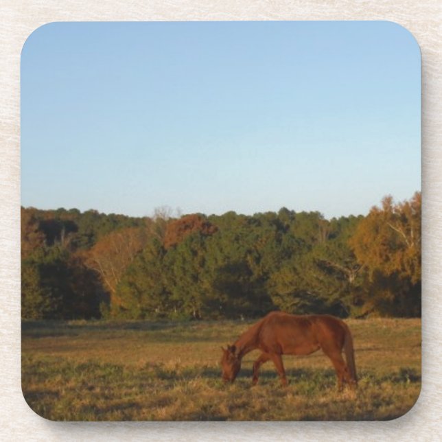 Porta-copo Cavalo castanho no Sol (Frente)