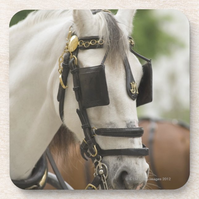 Porta-copo Cavalo com antolhos (Frente)