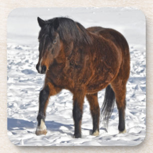 Porta-copo Cavalo de inverno em Snowy Field