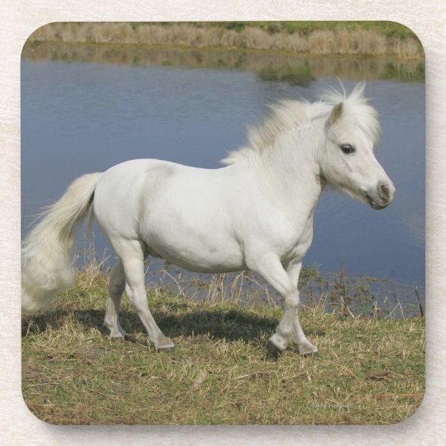 Porta-copo Cavalo diminuto que funciona perto da água (Frente)